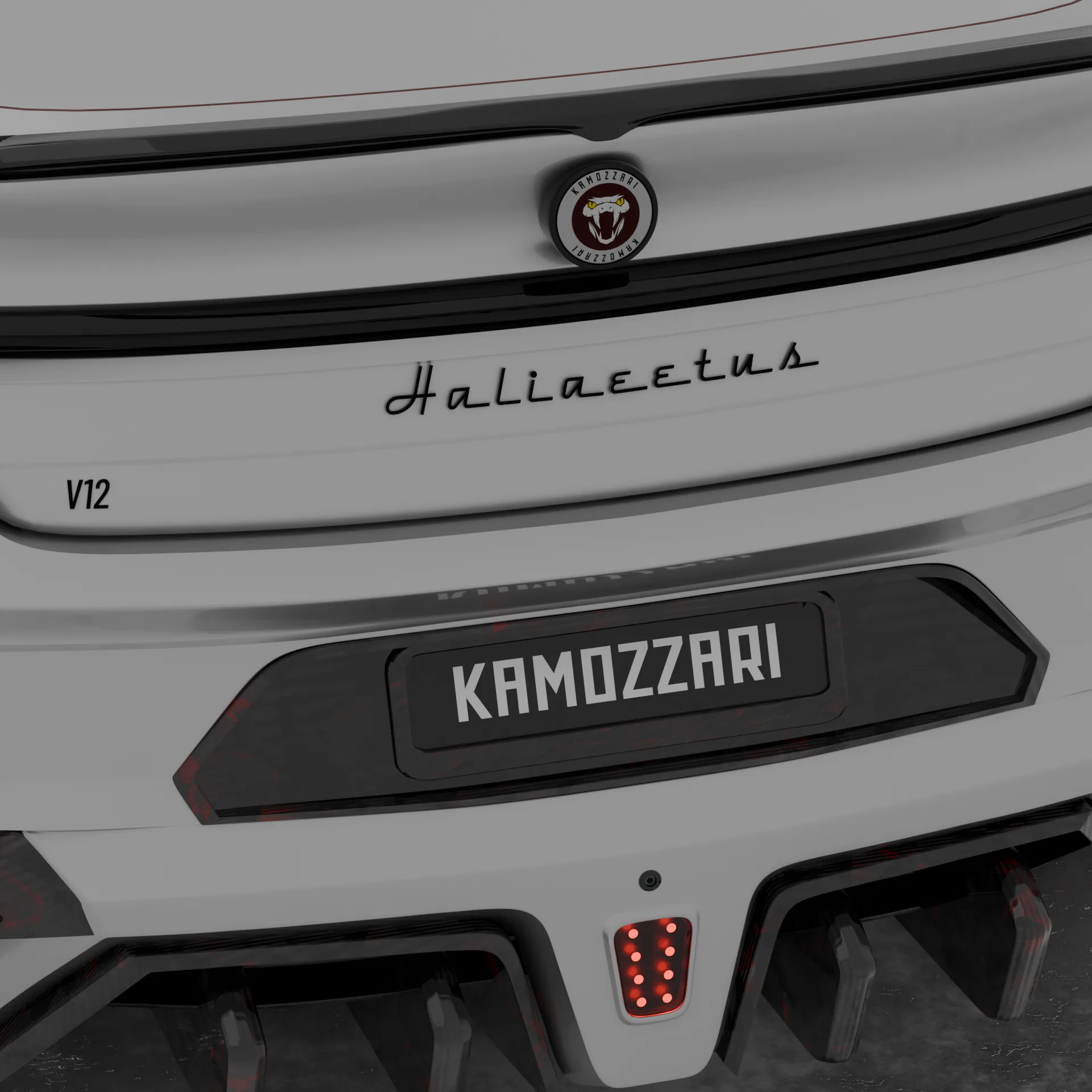 AMB Halliaetus render 13